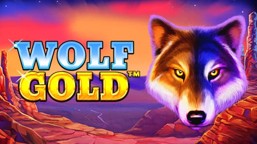 신비로운 세상을 경험하다 Wolf Gold