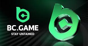 Explore Exciting Gaming Opportunities at BC.Game Online Crypto Casino