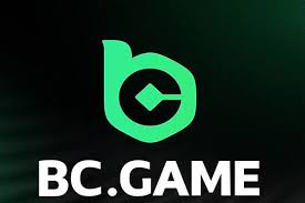 Explore Exciting Gaming Opportunities at BC.Game Online Crypto Casino